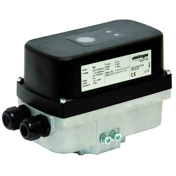 Moteur type MZ3