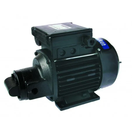 Pompe de transfert fioul MR3 Pompe de transfert fioul MR3