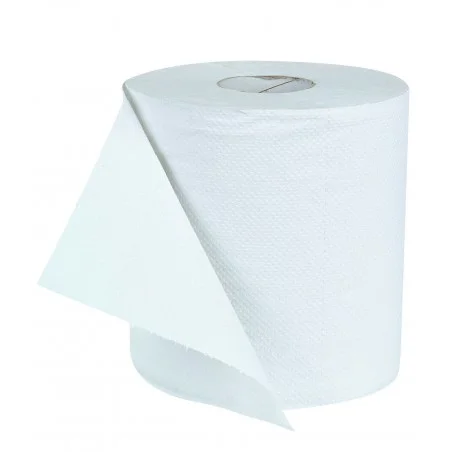 Bobine essuyage 20x30 2plis 450 feuilles Bobine essuyage 20x30 2plis 450 feuilles