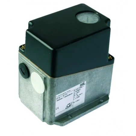 Vannes motorisées gaz VK 40F40T5A93D/S