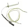 Electrode ionisation Beretta 2255