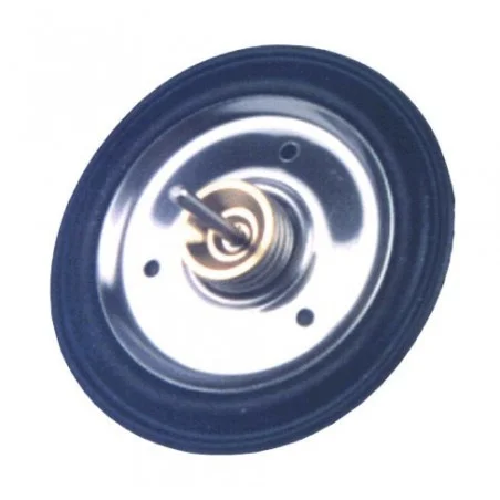 Membrane M15LP, M15L Cointra