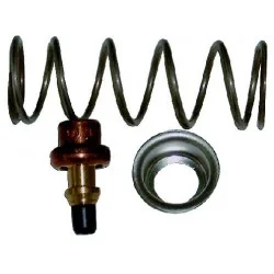 Régulateur thermostatique Roca 5699393