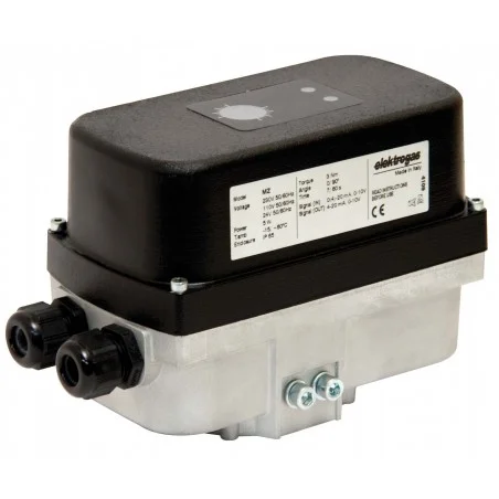 Moteur type MZ5