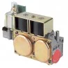 Bloc gaz tandem 0836019