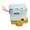Vanne de zone 2 voies 1\' avec contact fin de course