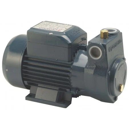 Pompe de transfert fioul PKM 60 Pompe de transfert fioul PKM 60