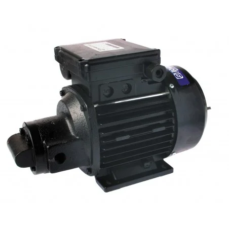 Pompe de transfert fioul MR10 Pompe de transfert fioul MR10
