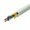 Goulottes 60 mm longueur 2m